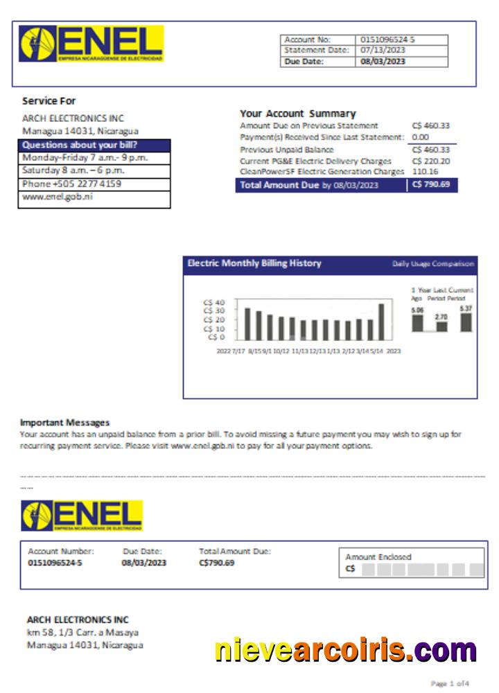 Nicaraguan Electricity Company (ENEL) electricity utility business bill